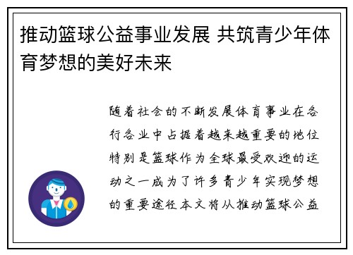 推动篮球公益事业发展 共筑青少年体育梦想的美好未来