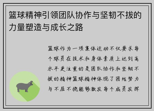 篮球精神引领团队协作与坚韧不拔的力量塑造与成长之路