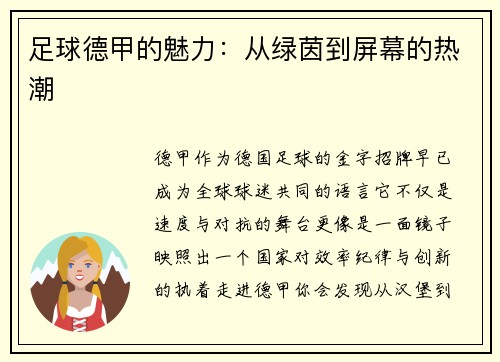 足球德甲的魅力：从绿茵到屏幕的热潮